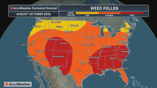 This AccuWeather graphic shows where weed pollen levels will be the highest this fall. The highest levels are seen in red, moderate levels in orange and lower levels in yellow. Ragweed pollen is the biggest culprit of fall allergies (AccuWeather)