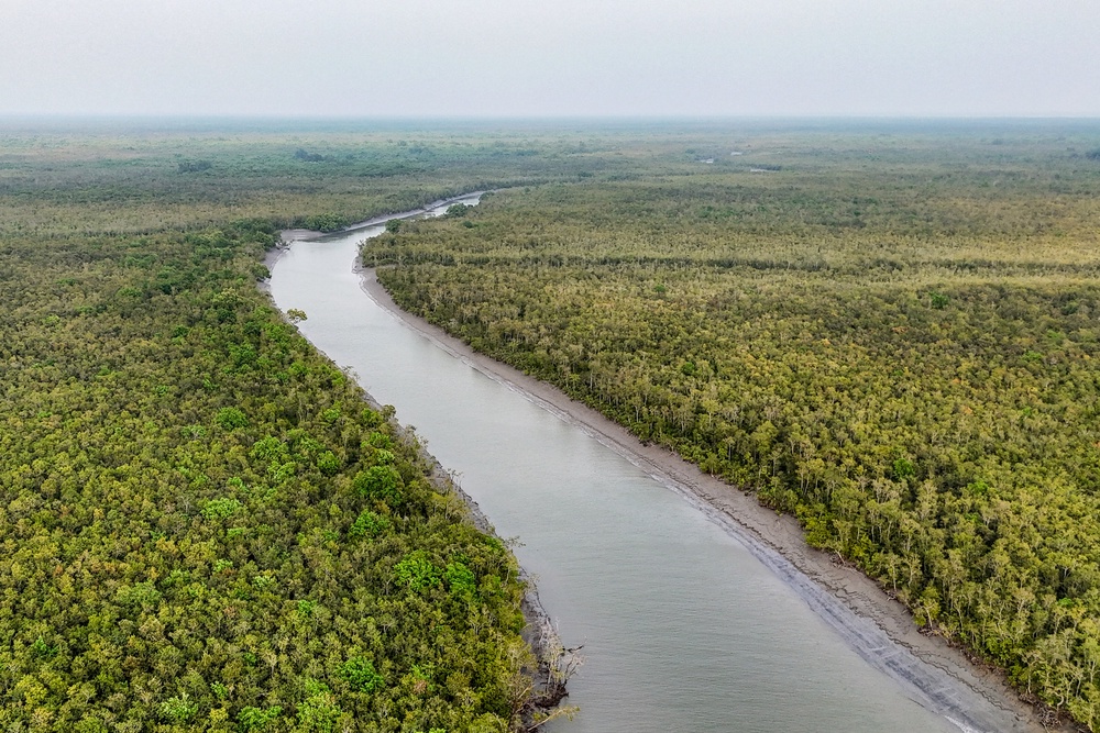 An aerial photograph of a river winding through the Sundarbans in Bangladesh (AFP/Getty)