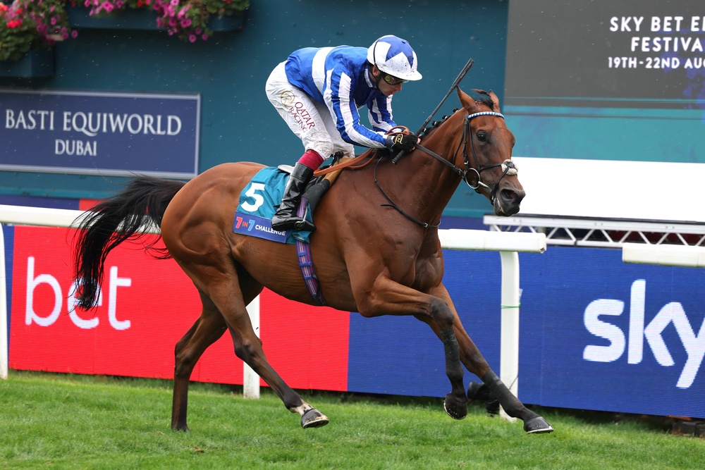 The Lost King won the Sir Kevin Sinfield 7 In 7 Grand Finale Handicap at York (Richard Sellers/PAP (PA Wire)