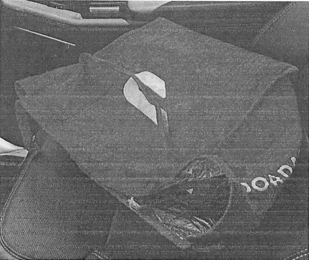Bowie allegedly wrote that she would pose as a food-delivery worker and place the bomb in a bag resembling a food-delivery order, possibly at one of the building’s main entrances. Pictured: a photo of a DoorDash bag included in the criminal complaint (FBI)