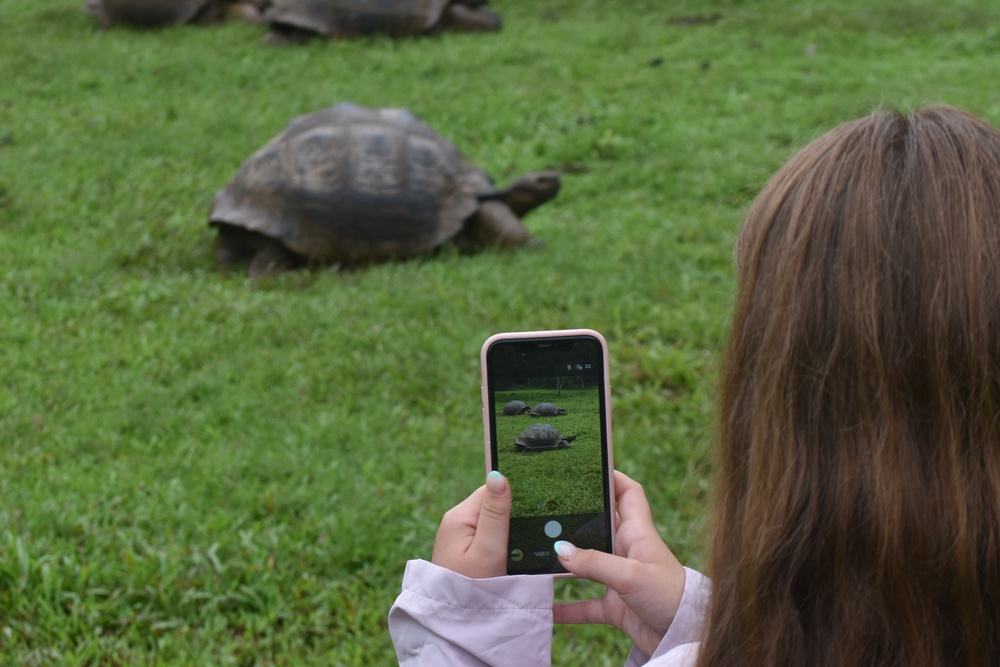 The famous giant Galapagos tortoise are even bigger in real life (Marc Shoffman)