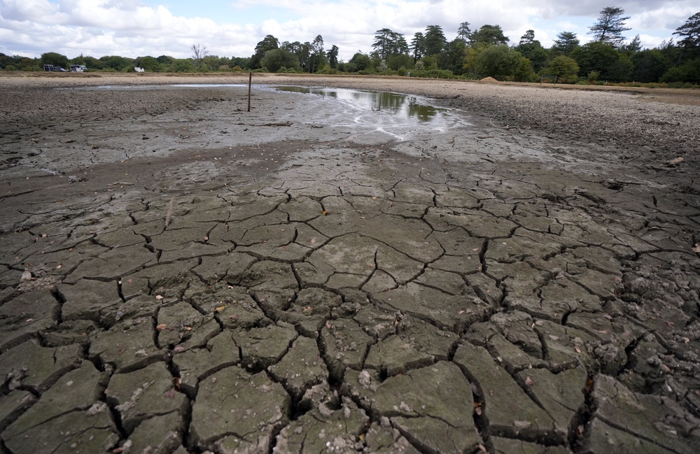 A view of the dried up Janesmoor Pond in the New Forest, Hampshire (Andrew Matthews/PA) (PA Wire)