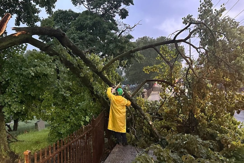 In this photo provided by the City of Jersey City, a city official inspects a damaged tree (City of Jersey City)