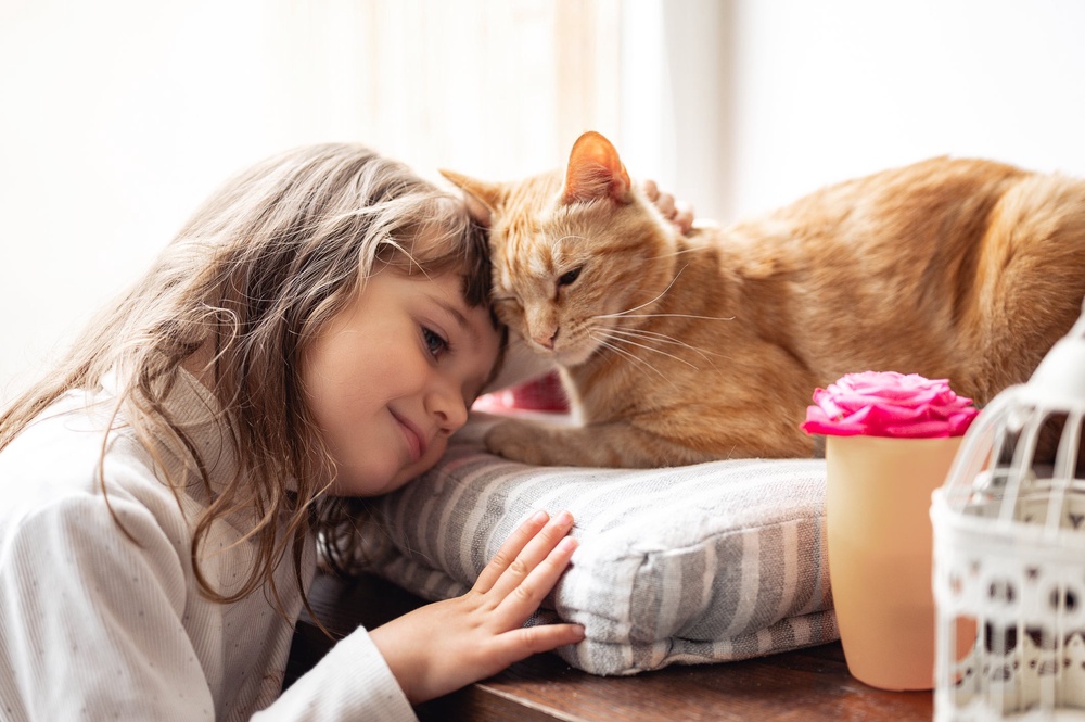 Happier cats have been found to reduce negative mood states in humans (Getty/iStock)