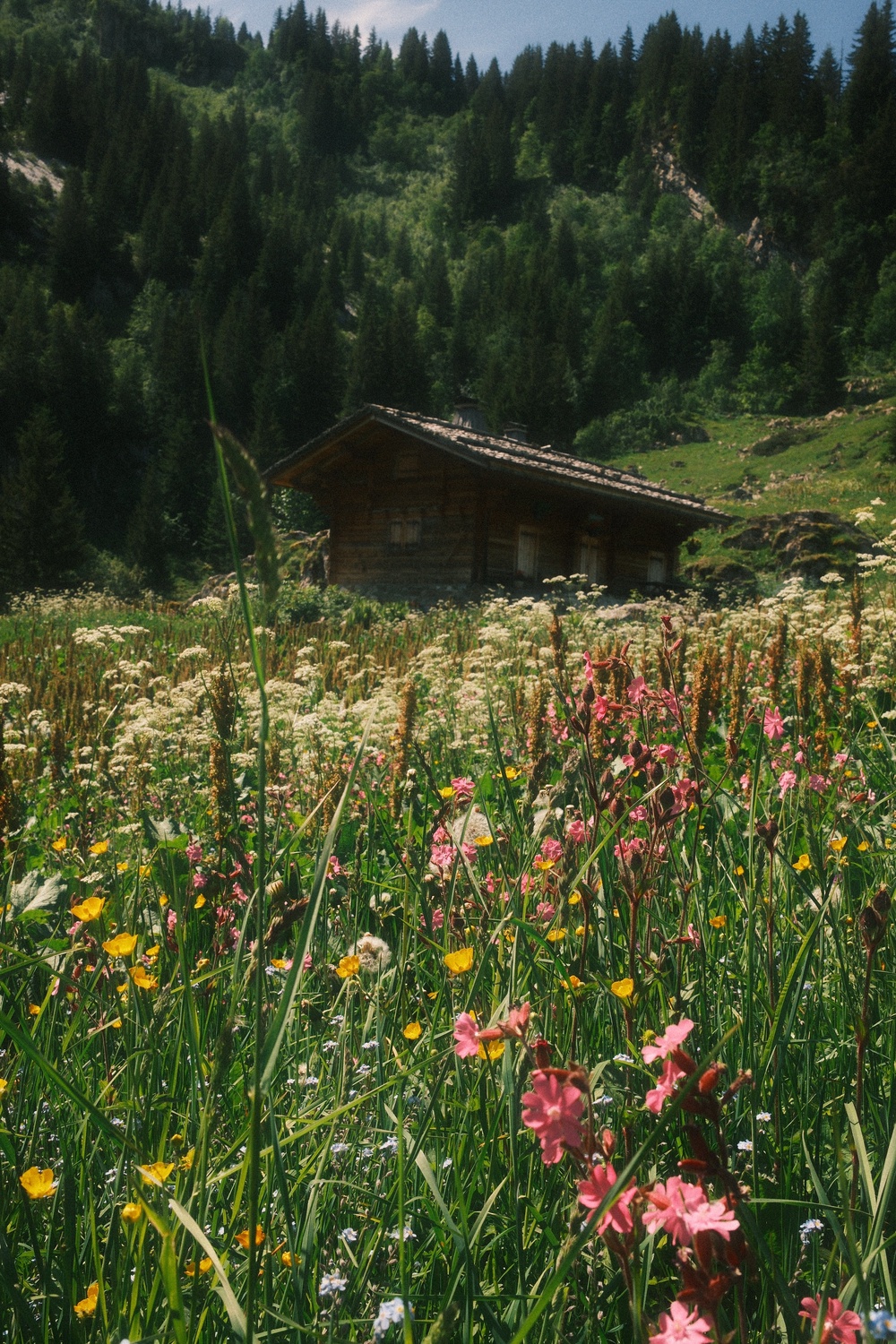 Tiny farms offer a slice of local history (Hugh Collins)