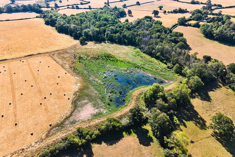Provisional Met Office figures indicate this summer was the UK’s hottest since records began in 1884, with drought declared across most of England and all of Wales (National Trust/Steve Sayers)