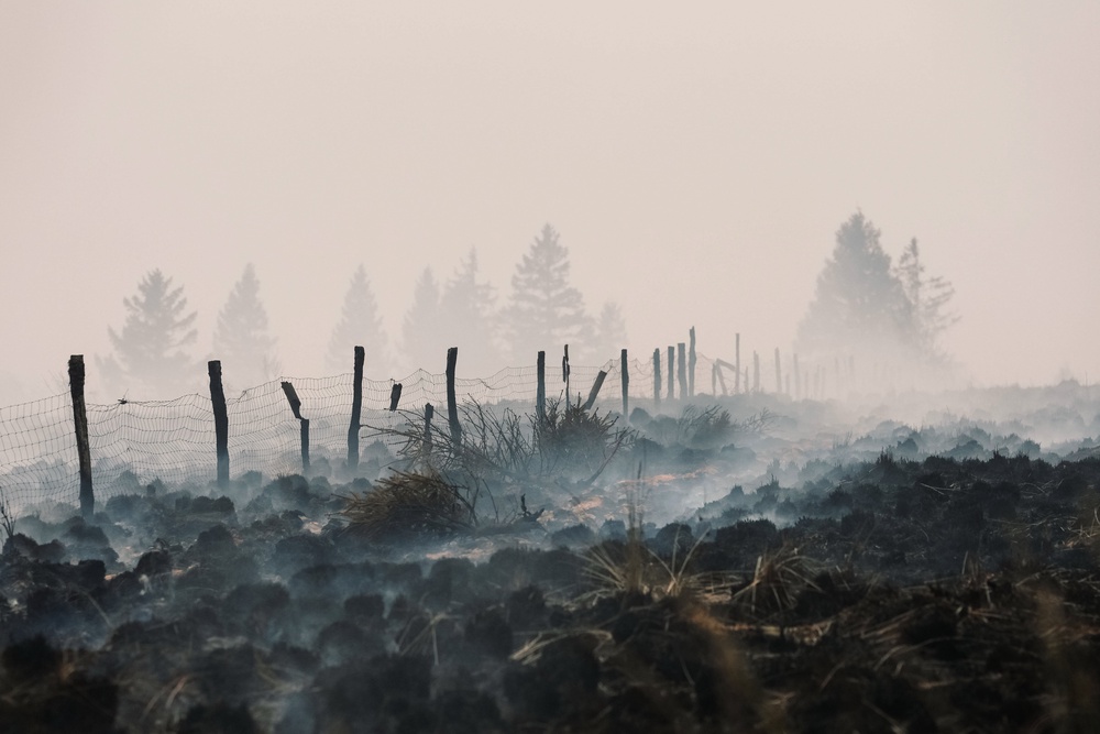 Smoke rises from a field scorched by a wildfire near Waimes in Belgium (AP)