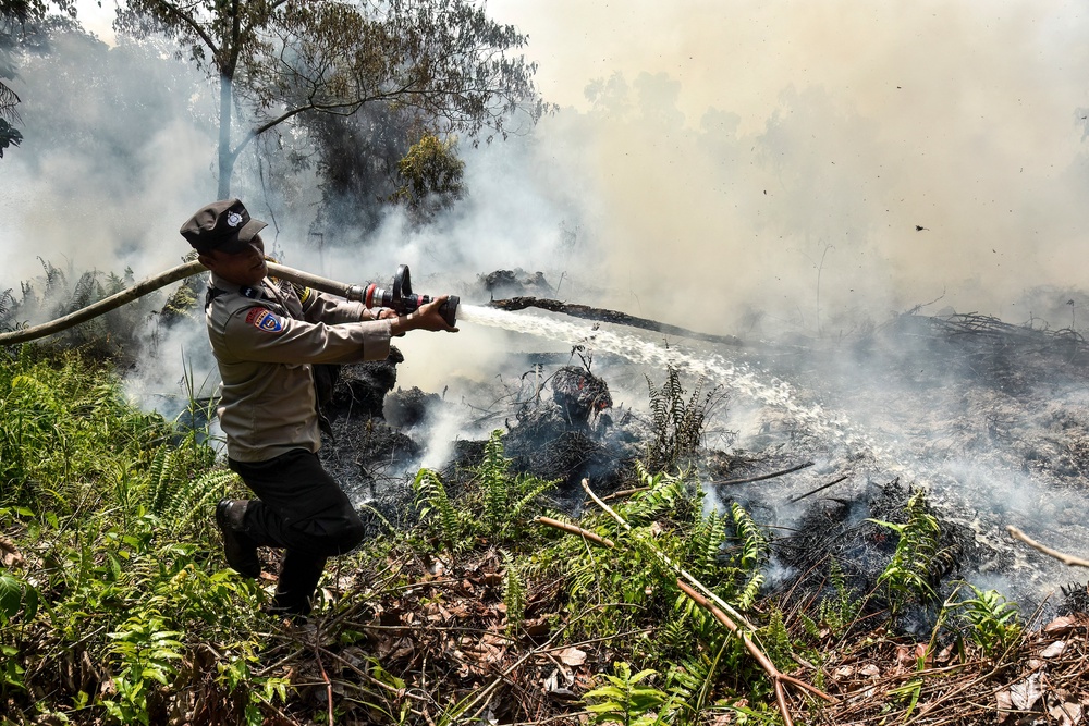 A security officer attempts to extinguish a fire burning on peatland in Kampar, Riau, on 17 August 2026 (AFP/Getty)
