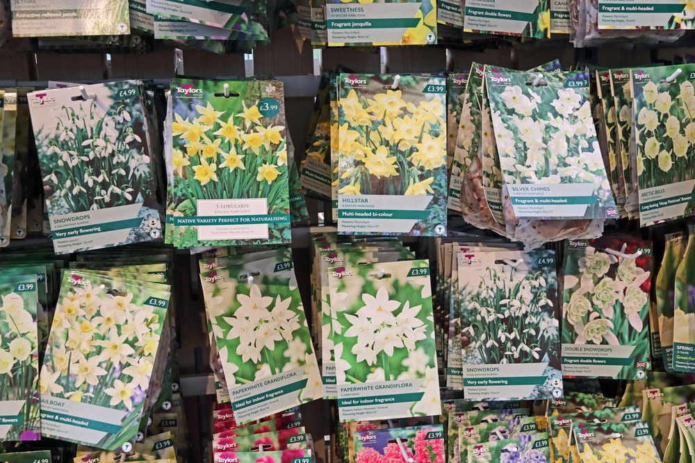 ‘On the flip side, it’s still good to get into garden centres and choose the varieties you want early while there’s the best selection,’ says Ian Clark (Alamy/PA)