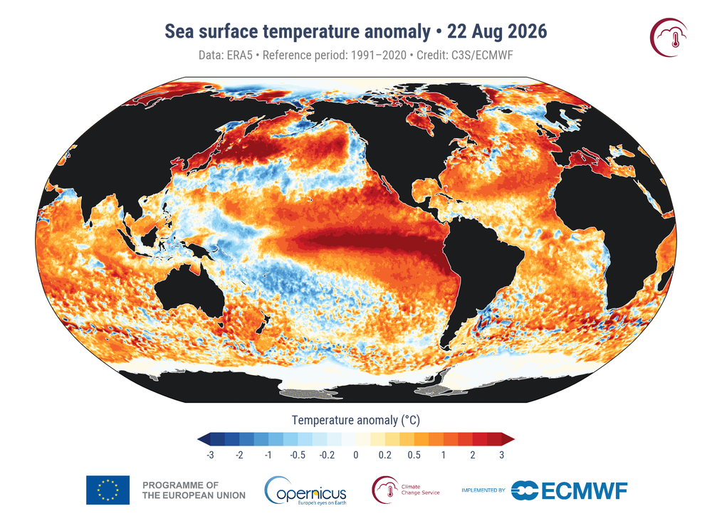 This map from Copernicus shows anomalies in sea surface temperature across the globe on Sunday. The darkest red are where temperatures are the hottest (C3S/ECMWF)