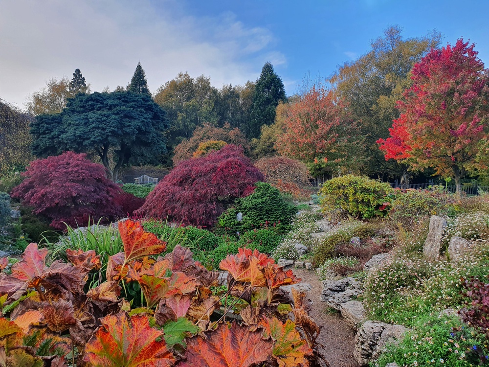Emmetts Garden alpines (Nick Dougan/National Trust Images/PA)
