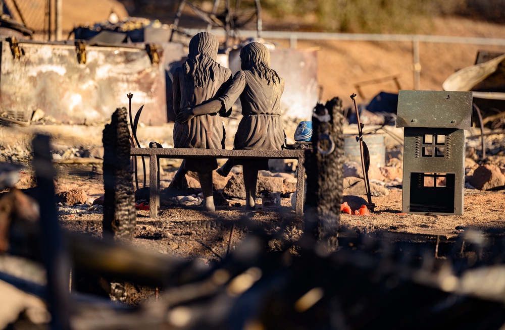 A statue is left amid the remains of a home burned by the Hawk Fire (AFP/Getty)