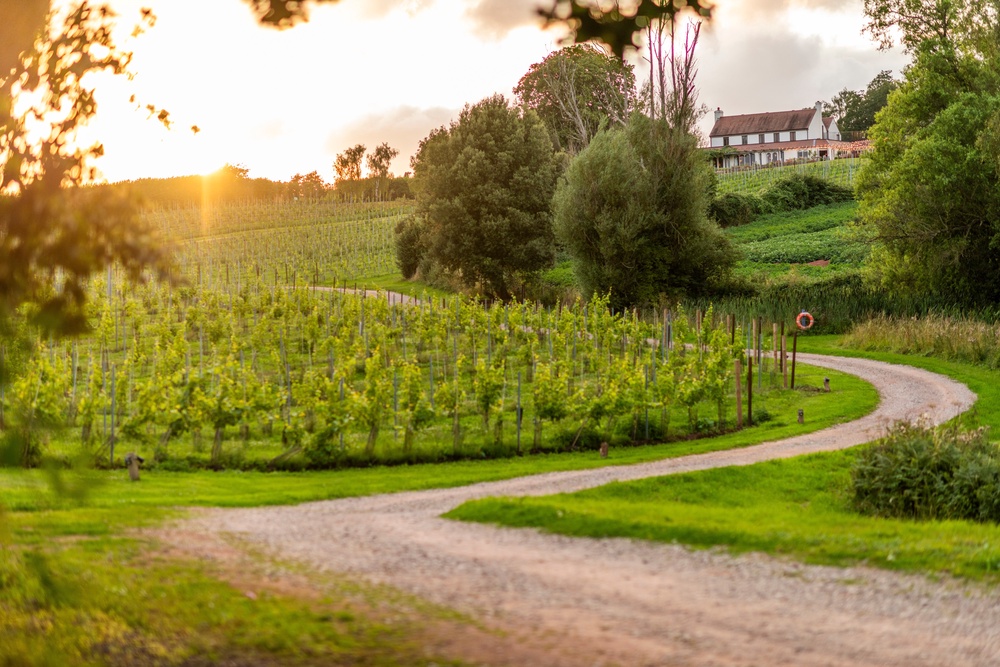 Three Choirs Vineyards is located in Newent, Gloucestershire (Three Choirs Vineyard)