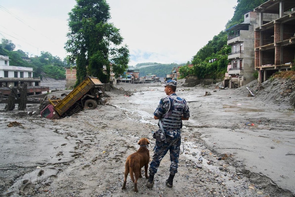 A policeman with a sniffer dog looks at the damage in the aftermath of flash floods in Devighat in the Nuwakot district in Nepal, Thursday, Aug 27, 2026 (AP)