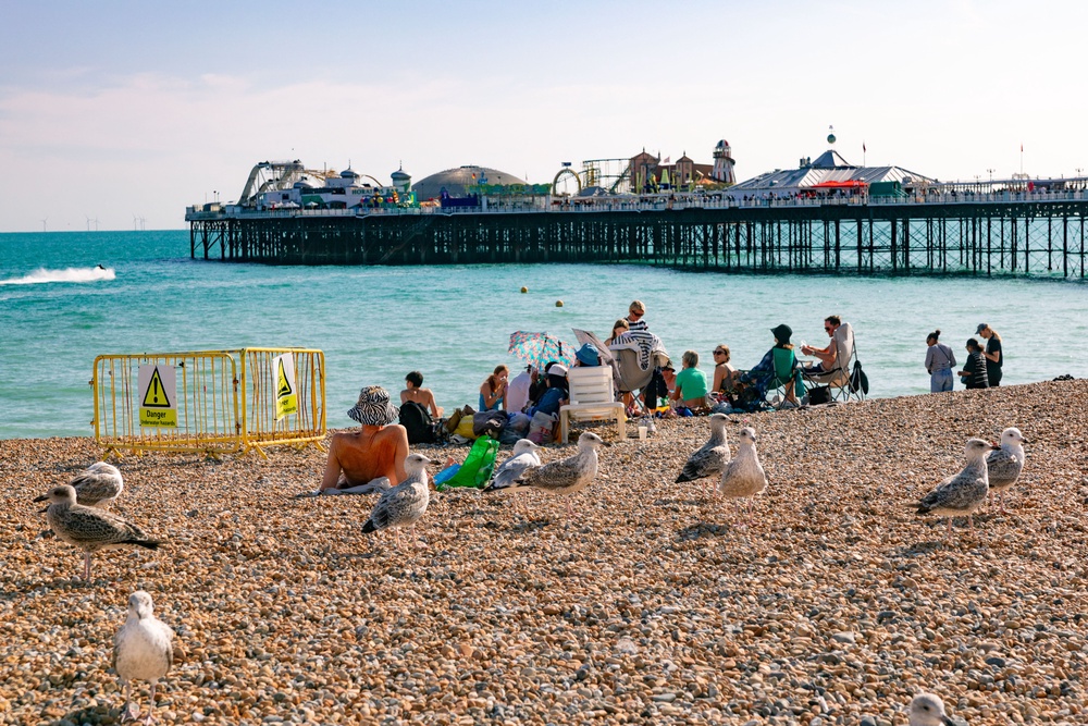 More than three-quarters of Britons say they have changed where or how they eat outdoors to stop seagulls stealing their food (AFP/Getty)