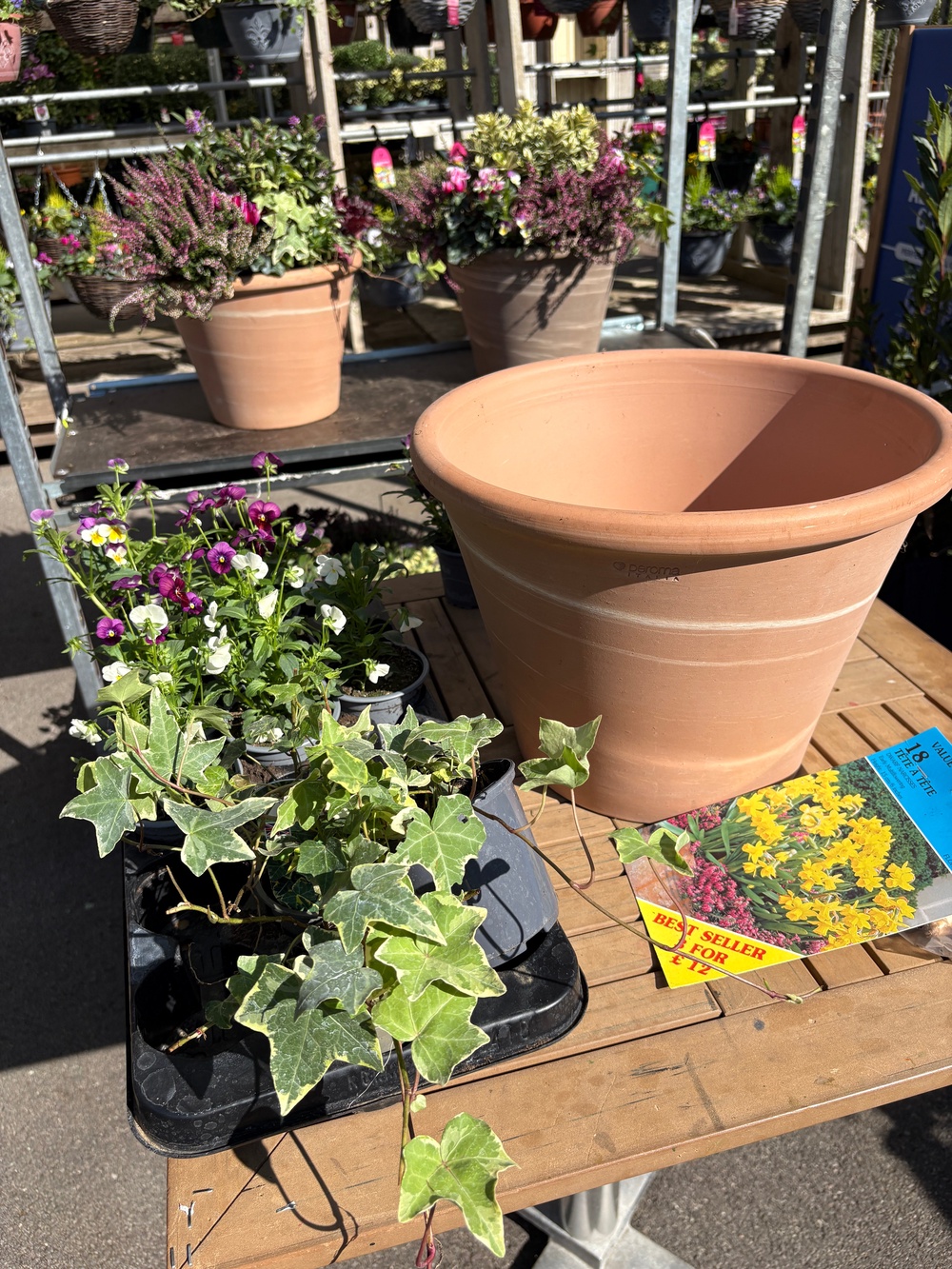 A pot and various plants to make an autumn container display. (Hannah Stephenson/PA)