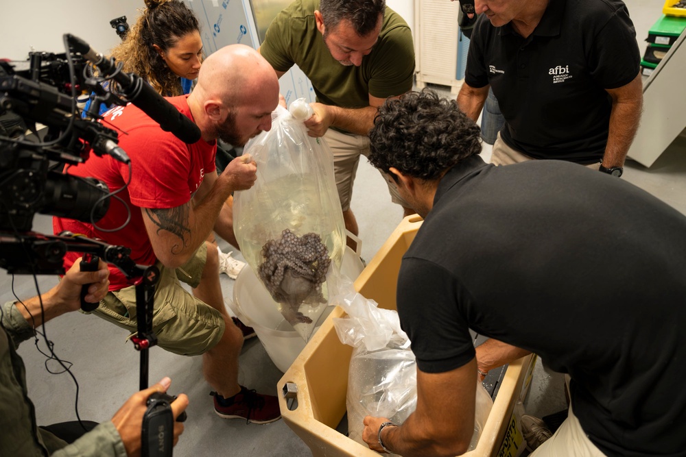 Scientists in Italy with an octopus (Emilia Romagna Press)