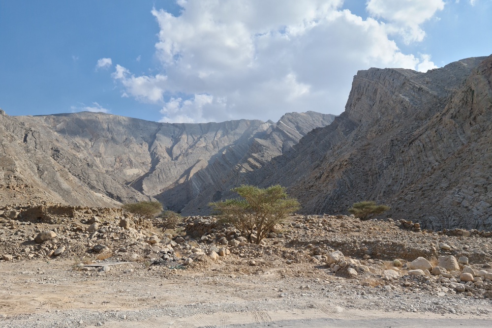 Cassius Newton, 34, and Aran Martinson, 33, died after going for a hike at Wadi Naqab, a desert valley (Alexandermcnabb/CC BY-SA 4.0)