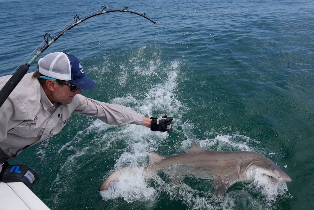 Greg Metzger, lead field biologist for SOFO's shark research and education program, catches a sand tiger shark off the coast of Hampton Bays (Copyright 2026 The Associated Press. All rights reserved.)