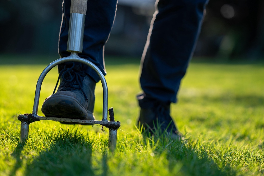 Use a hollow tine aerator – which is like a garden fork with a hollow tube and removes a cigar-size plug (PA)