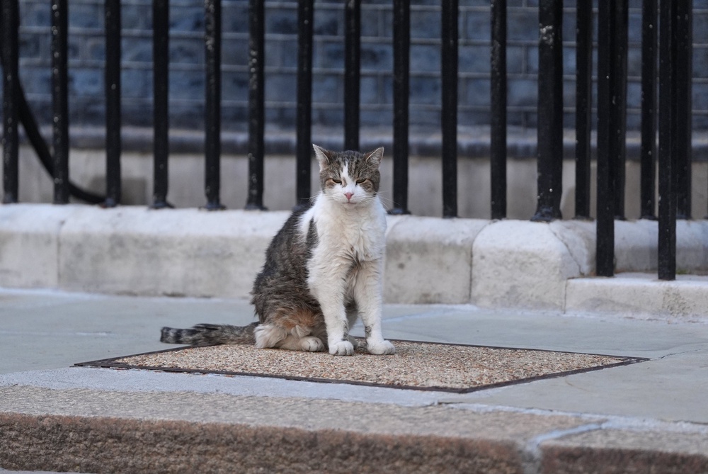 A fake review was also uploaded making a reference to how enjoyable it was ‘hanging out with Larry The Cat’ (PA) (PA Wire)