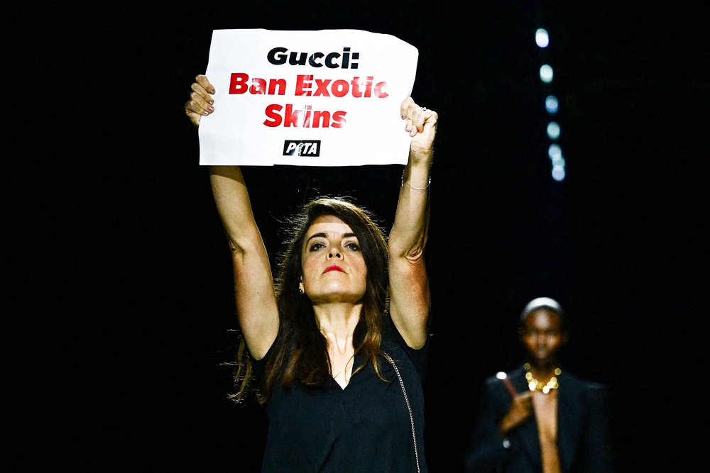 PETA campaigner Sascha Camilli storms Gucci’s catwalk at Milan Fashion Week in September 2023, calling on the luxury house to ban exotic skins. (AFP/Getty)