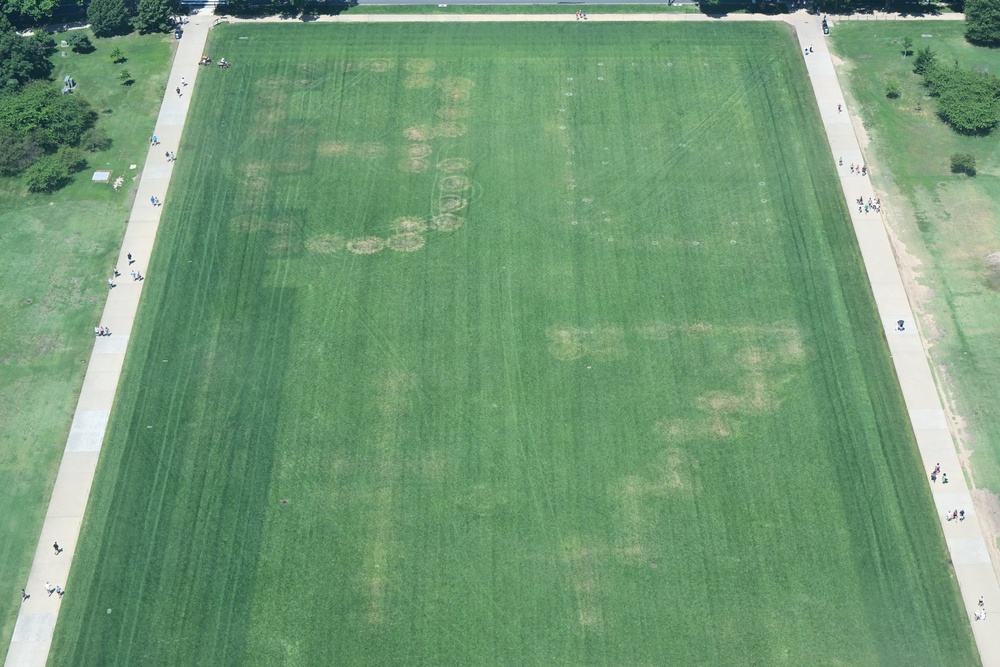 In June, the anti-Trump slogan ‘8647’ appeared on the grass of the Mall, prompting an investigation by federal officials (AFP/Getty)