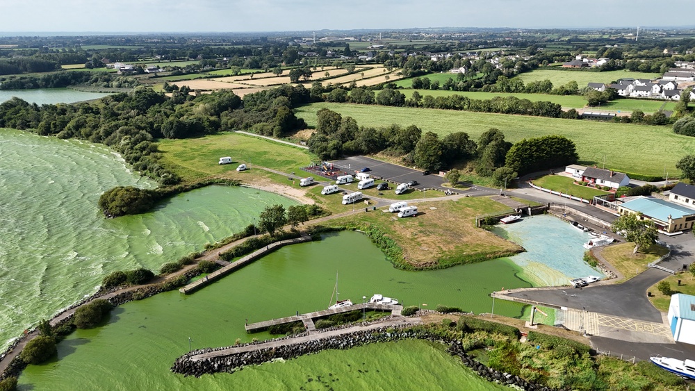 Blue-green algae at Battery Harbour on Lough Neagh near Cookstown in Co Tyrone in August 2025 (Niall Carson/PA) (PA Archive)