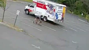 Witnesses described the animal as either a gray fox or a fisher, which is a member of the weasel family (Lebanon Police)