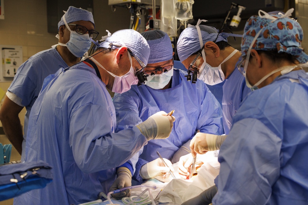 Researchers said no pig viruses or other pig pathogens were detected at any point (Kate Flock/Massachusetts General Hospital/PA) (PA Media)