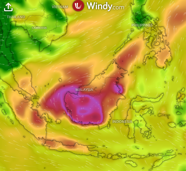 Air quality forecast shows hazardous levels (shown in purple) blanketing Malaysia and Indonesian Borneo as haze from the wildfires spreads across the region (Windy.com)