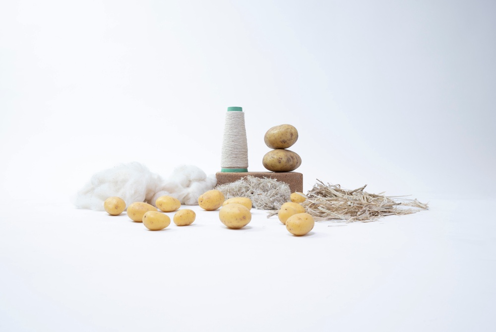 From crop to cloth: potatoes are transformed into soft fibre and spun yarn, offering fashion an innovative alternative to conventional animal-derived textiles. (Copyright: Fibe)