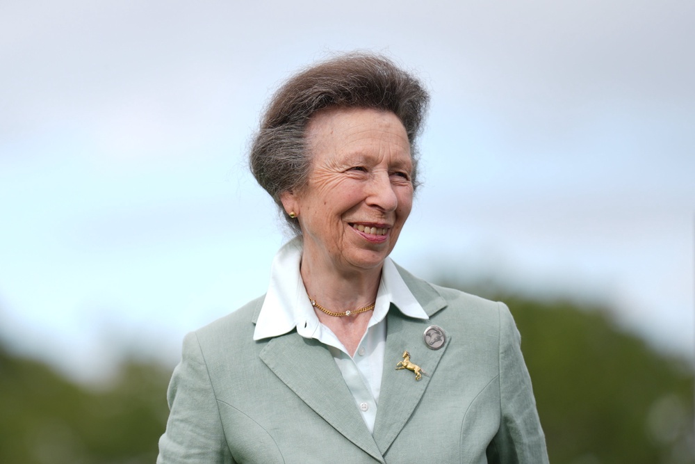 The Princess Royal has also had a busy year - with 183 engagements listed for the past 12 months (PA)