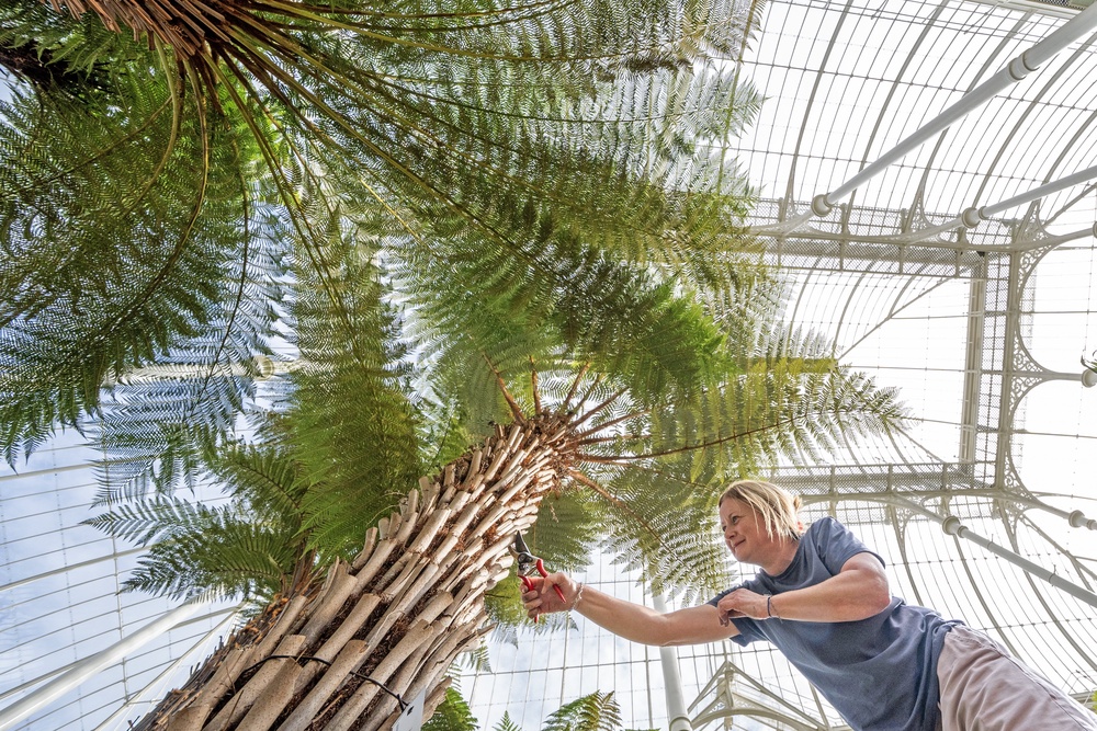 Glasshouse supervisor Louise Galloway checking some of the plants (Jane Barlow/PA) (PA Wire)