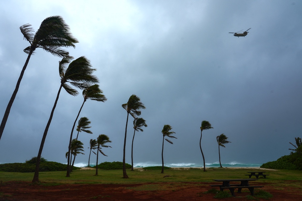 Palm trees bend from strong winds as an CH-47 Chinook helicopter flies over Barbers Point in Kapolei, Hawaii (AFP/Getty)