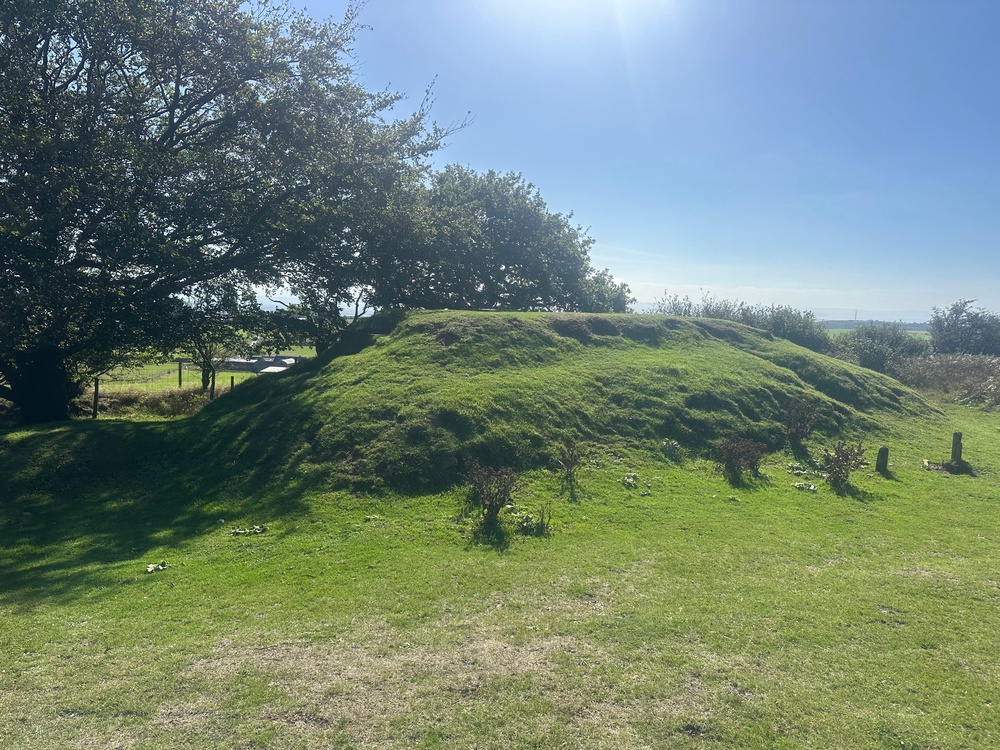 The bunker at the Black Down site is now covered in vegetation (The Independent)