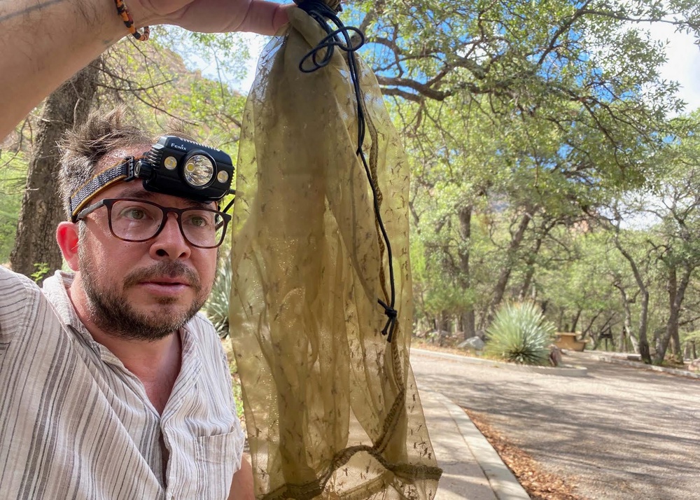 University of Florida scientist Dr. Lawrence Reeves inspects a bag of mosquitoes collected in the mountains of Arizona. Reeves and colleagues have found a new species of mosquito in the U.S. (Dan Killingsworth)