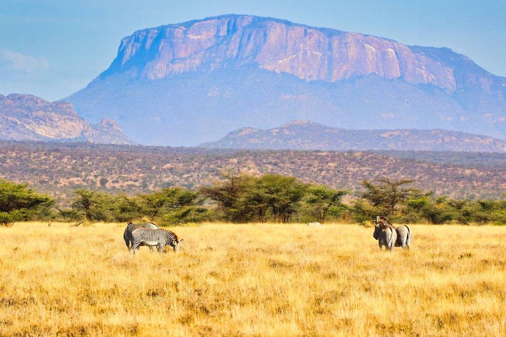 Samburu National Reserve, Kenya (Getty Images)