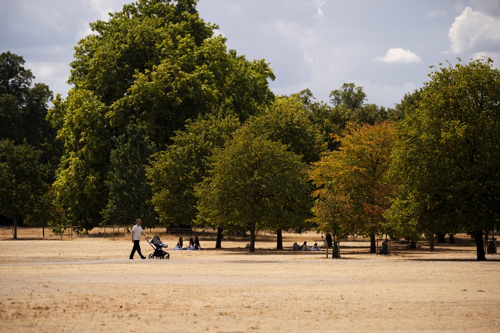 People enjoying the warm weather among parched grass in Hyde Park in August (Jordan Pettitt/PA) (PA Wire)