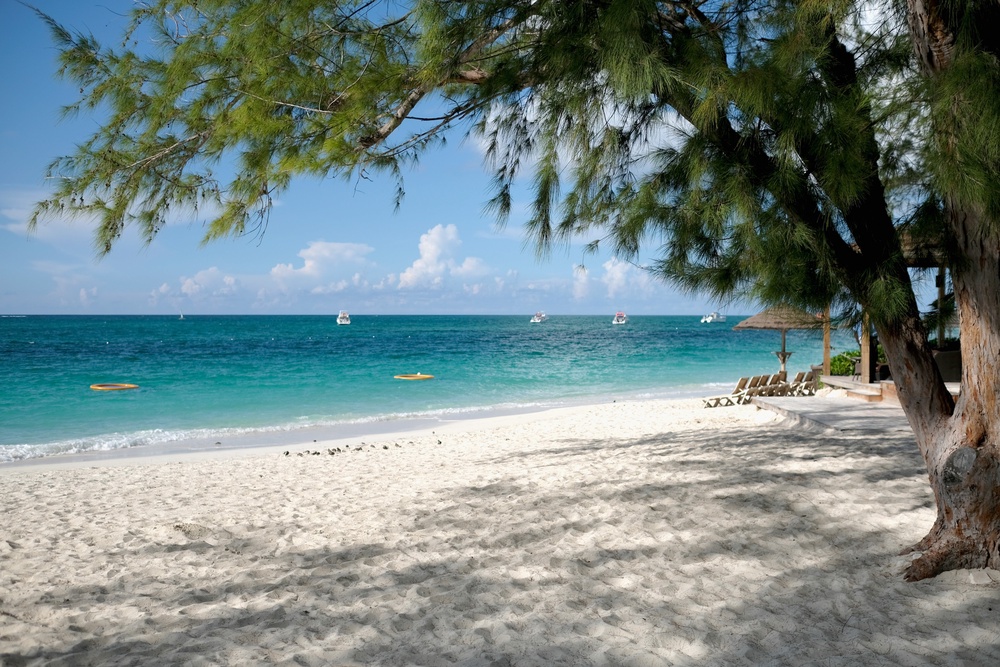 Club Med guest Yvonne Martin says in her lawsuit that she was told by a sailing instructor to swim 75 feet back to shore, during which time she claims she was bitten by a shark (Getty Images)