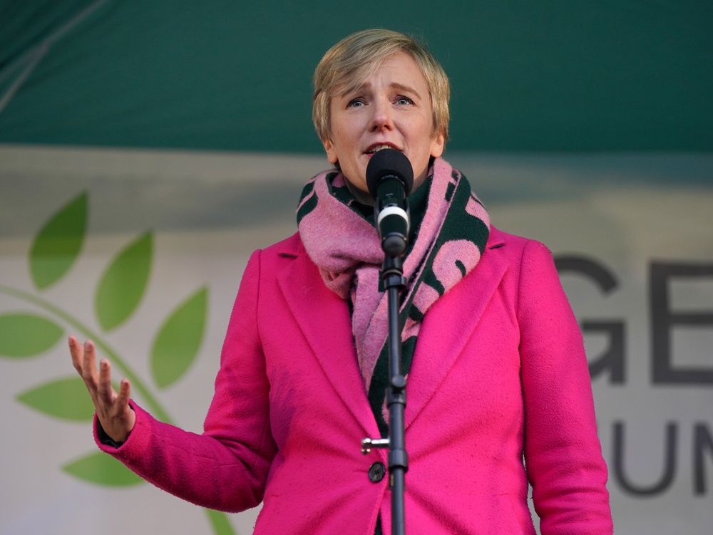 Stella Creasy said a cap on donations cannot come too soon (Yui Mok/PA) (PA Archive)