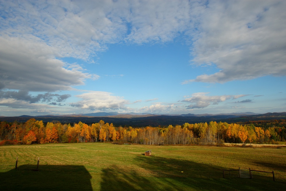 Students at Mountain School of Milton Academy in Vershire, Vermont, split their time between traditional classes and eight hours of weekly farm work, from caring for livestock to harvesting crops (AFP/Getty)