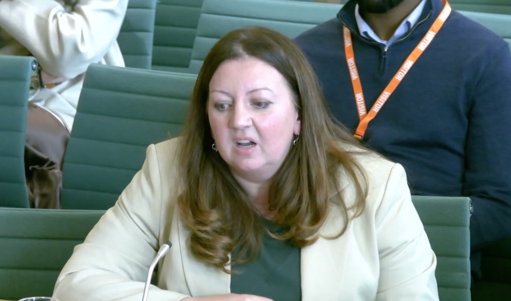 Kirsty McNeill gives evidence to the International Development Committee on Tuesday (Parliamentlive.tv)