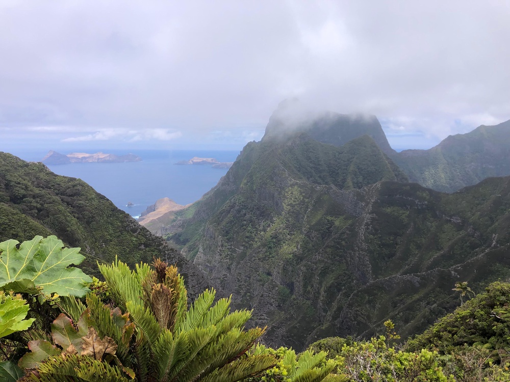 Robinson Crusoe Island is home to the sole surviving wild tree (Diego Penneckamp/PA)