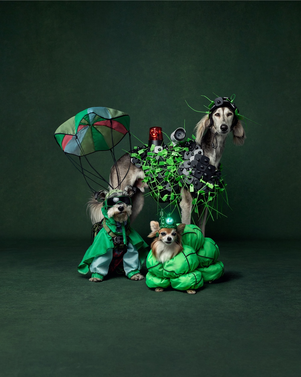 The three dogs who appeared on the runway in their outfits during a photoshoot before the show (Karl Hugill/PA)