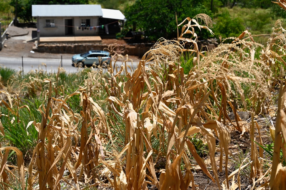 The current El Niño is developing on top of human-caused climate change, which is mostly as a result of burning fossil fuels for power, heating, transport and industry and is causing temperature rises and more extreme weather, and is likely to push up global temperatures in 2027 to new record levels (AFP/Getty)