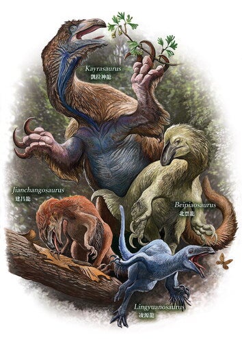 L sihedangensis is shown in a posture suggesting greater cursoriality. J yixianensis is depicted engaging in feeding, consistent with its robust hyoid apparatus. B inexpectus exhibits a robust, less cursorial bauplan. K changliensis is reconstructed browsing on higher vegetation, reflecting its larger body size and inferred feeding strategy (Kōhei Futaka/Journal of Systematic Palaeontology 2026)