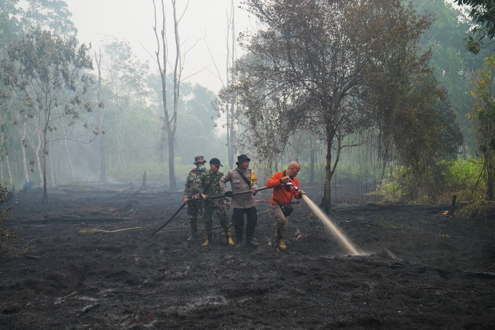 Firefighters spray water to put out wildfires burning through peatland forest in Kubu Raya, West Kalimantan, Indonesia (AP Photo/Tatan Syuflana)