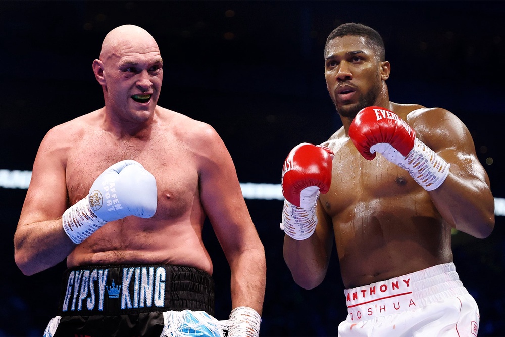 Fury and Joshua will fight in Cardiff on December 11 (Getty)