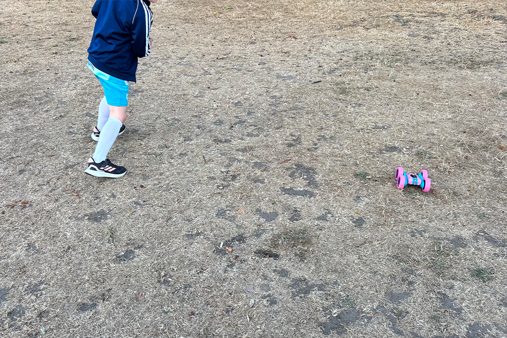 The flip element was a hit (Kayleigh Rattle/The Independent)
